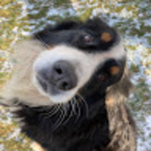 Meet your Posher, Adia